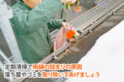 樋　定期的　掃除